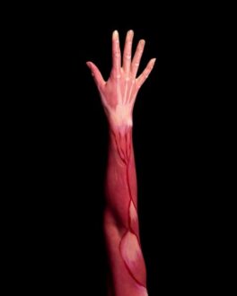 hand muscles red under skin black background yin yoga toning muscle