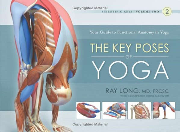 human anatomy the key poses of yoga guide beginners