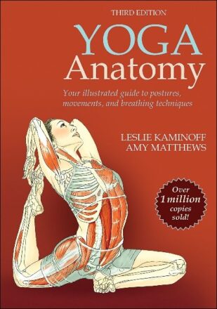 yoga anatomy book beginners 2023
